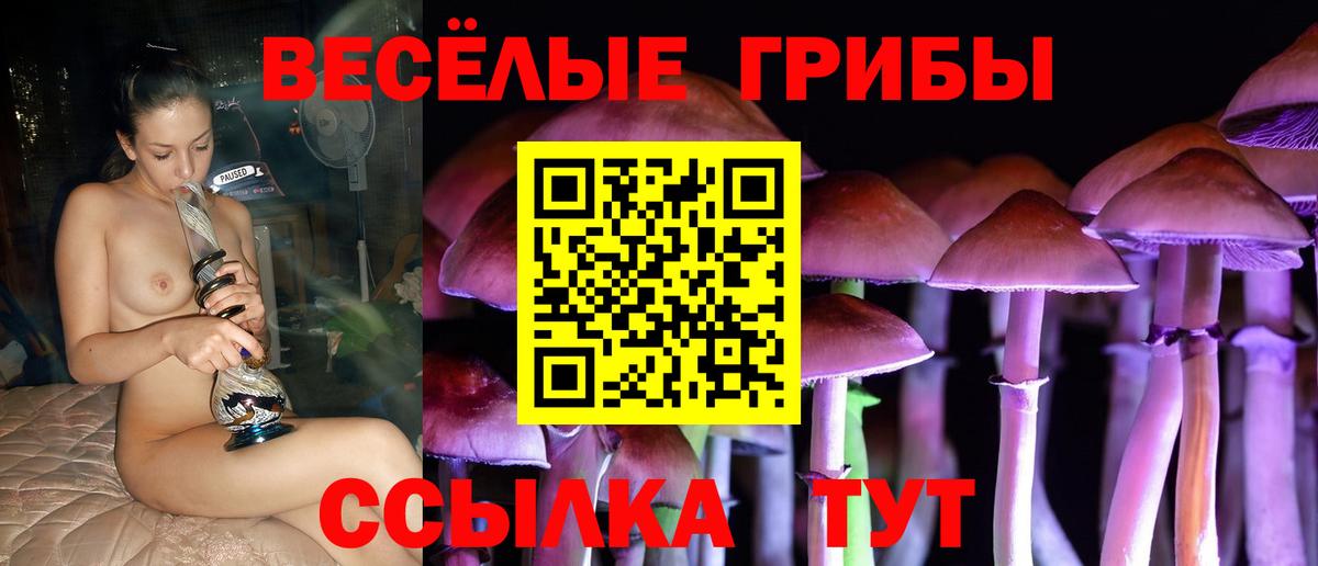 Галлюциногенные грибы мухоморы Спасск-Дальний